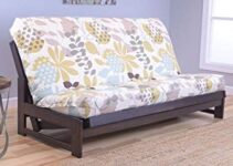 Colorado Reclaim Futon Sofa Bed – 2022 Buying Guide
