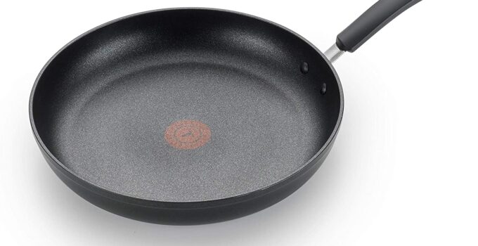 T-Fal Professional Total Nonstick Thermo-Spot Heat Indicator Fry Pan – 2024 Review