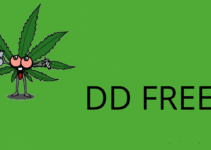 DD FREE