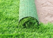 6 Benefits of Using Turf for Your Lawn