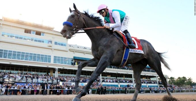 Big Stars in the World of Horse Racing