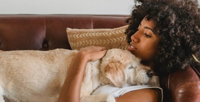 6 Reasons Why Life Is Just Better With a Dog