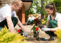 What Motivates Property Owners to Hire Gardening Services?