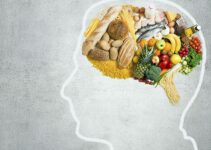 5 Best Natural Supplements to Boost Your Brain and Memory