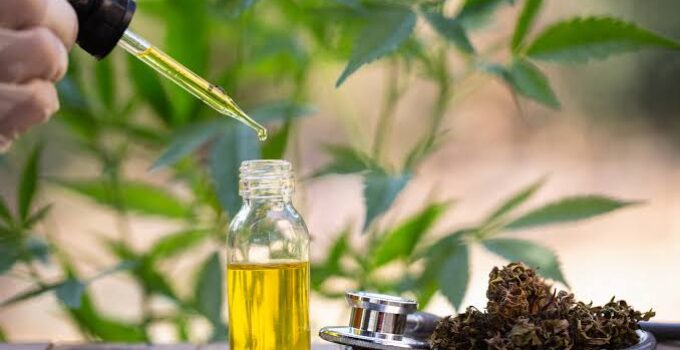 What is CBD, and why is it so Popular Right Now?