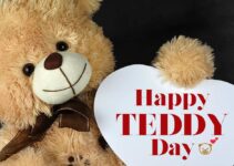 What to do on Teddy Day- The 4th Day of Valentine’s Week