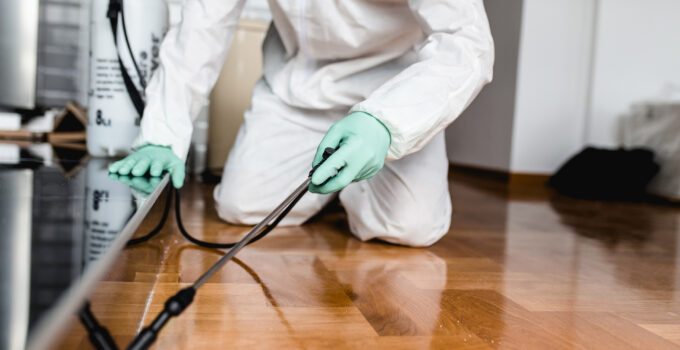 5 Warning Signs You Need a Pest Control Service in Your Home