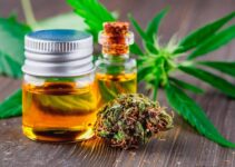 How can you tell if CBD is high-quality – 2023 Guide