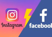Is Instagram better for Business Marketing than Facebook