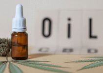 Does CBD Oil Expire? Average Shelf Life and How to Extend?