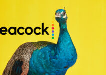 Peacock TV: Cost, App, Movies, Shows And More NBC Streaming Service Details