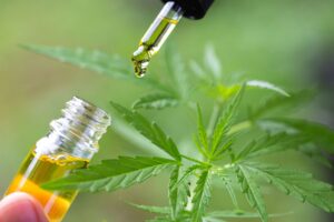 Can CBD Oil Help You Deal With Immunotherapy?