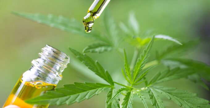 Can CBD Oil Help You Deal With Immunotherapy?