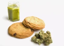 Weed Edibles: The Ultimate Guide for Beginners