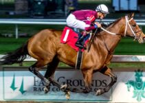 Can Epicenter Go All The Way In The Breeders’ Cup Classic?