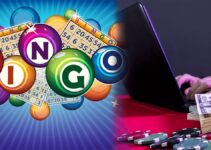 What Are the Perks of Playing Online Bingo?