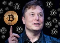 Why is Elon Musk Not Interested in Bitcoin?