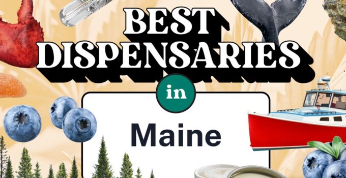 A Guide to the Best Dispensaries in Maine