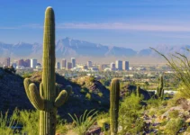 6 Reasons Why Phoenix Should Be Your Next Travel Destination