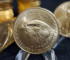 Should I Invest In The American Gold Eagle Coin?