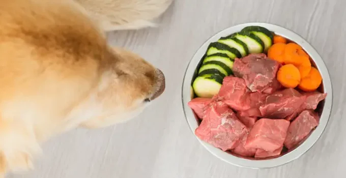 Dog Food Diets: The Raw Diet