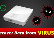 How to Perform File Recovery From Virus Infected Hard Drive: 5 Steps to Follow