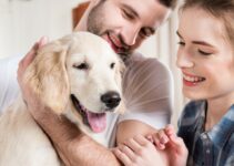 10 Simple Yet Effective Ways to Make Your Dog Happy
