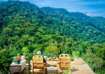 Unveiling the Wonders of Bwindi Impenetrable National Park – 2023 Guide