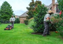 What To Expect When Taking A Lawn Care Course