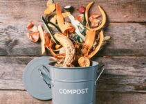 5 Ways to Reduce Your Household Waste