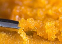The Art of Dabbing: Exploring the World of Cannabis Concentrates