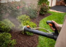 Say Goodbye to Mosquitoes: Expert Tips for Effective Backyard Mosquito Prevention