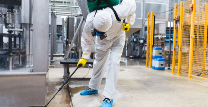Preventing Pest Problems: Proactive Strategies for Commercial Pest Control