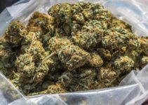 The Ultimate Guide to Buying Bulk Cannabis Online: Savings, Selection, and Safety