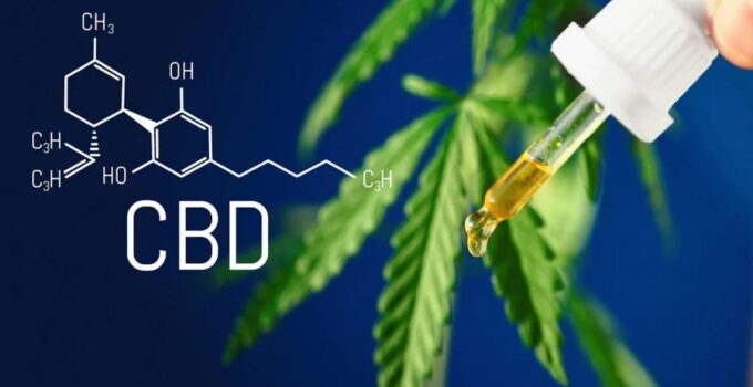 How CBD Can Enhance Concentration and Clarity