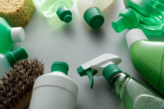 Key Components of Eco-Friendly Products