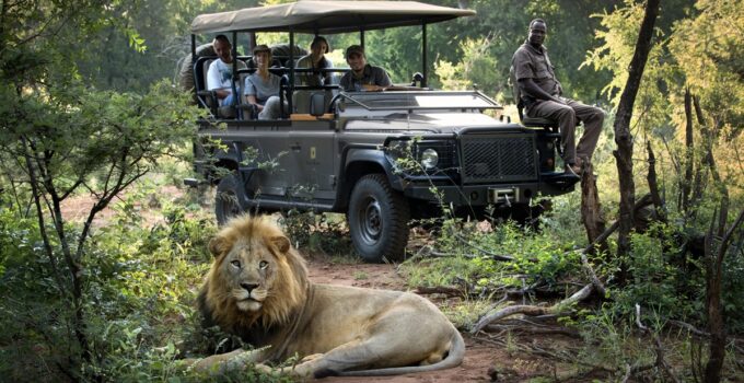 Choosing the Perfect Safari Destination: A Guide to Best Places