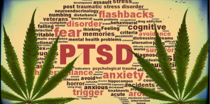Introduction to PTSD and Cannabis