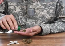 Cannabis and PTSD: A Glimpse into Symptom Relief for Veterans