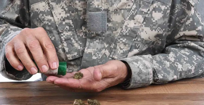 Cannabis and PTSD: A Glimpse into Symptom Relief for Veterans