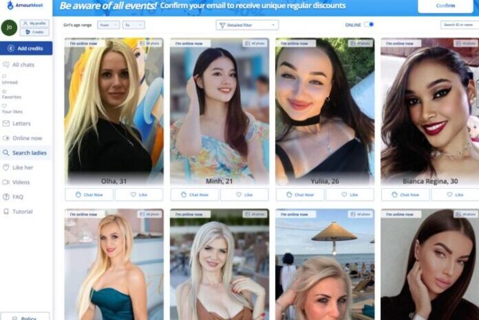 AmourMeet Review- Unveiling the Realities of Online Dating