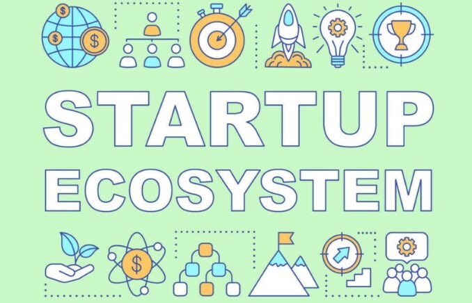 Impact on the Startup Ecosystem