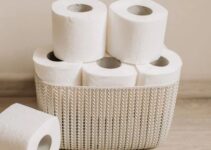The Hidden Environmental Impact of Your TP