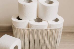 The Hidden Environmental Impact of Your TP